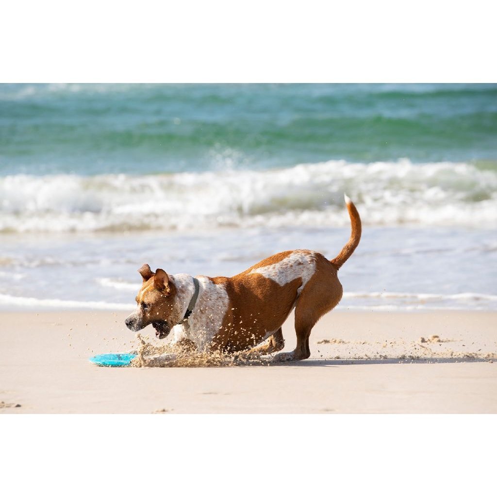 Waboba Woofpack - Afbeelding 4