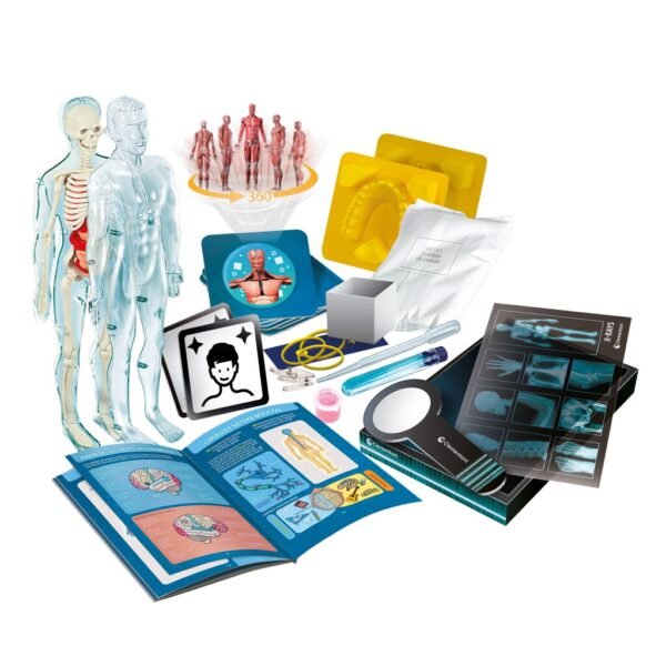 Clementoni Wetenschap Super Anatomie - Afbeelding 2