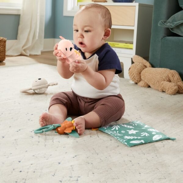Fisher Price Zintuigen Cadeauset + Geluid - Afbeelding 6