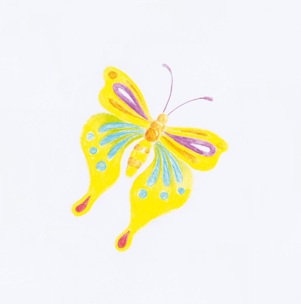 Faber Castell FC-112412 Kleurpotlood Faber-Castell GRIP Kartonnen Etui A 12 Stuks - Afbeelding 2