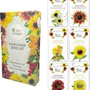 OwnGrown Zonnebloemenzaden set 6 verschillende soorten zonnebloemen Voor binnen, tuin en balkon Eco-vriendelijke verpakking