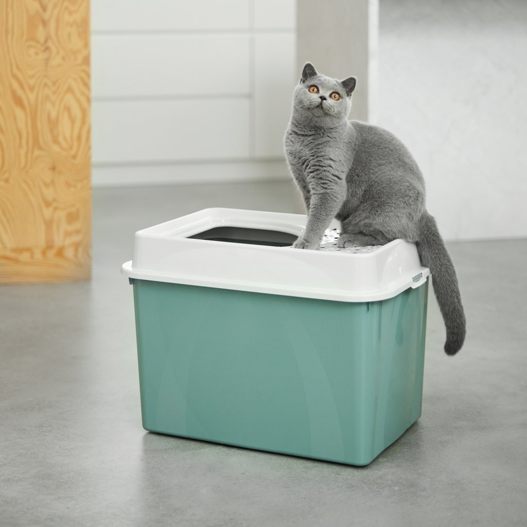 Rotho Eco Berty Kattenbak met Boveningang Groen/Zand - Afbeelding 2