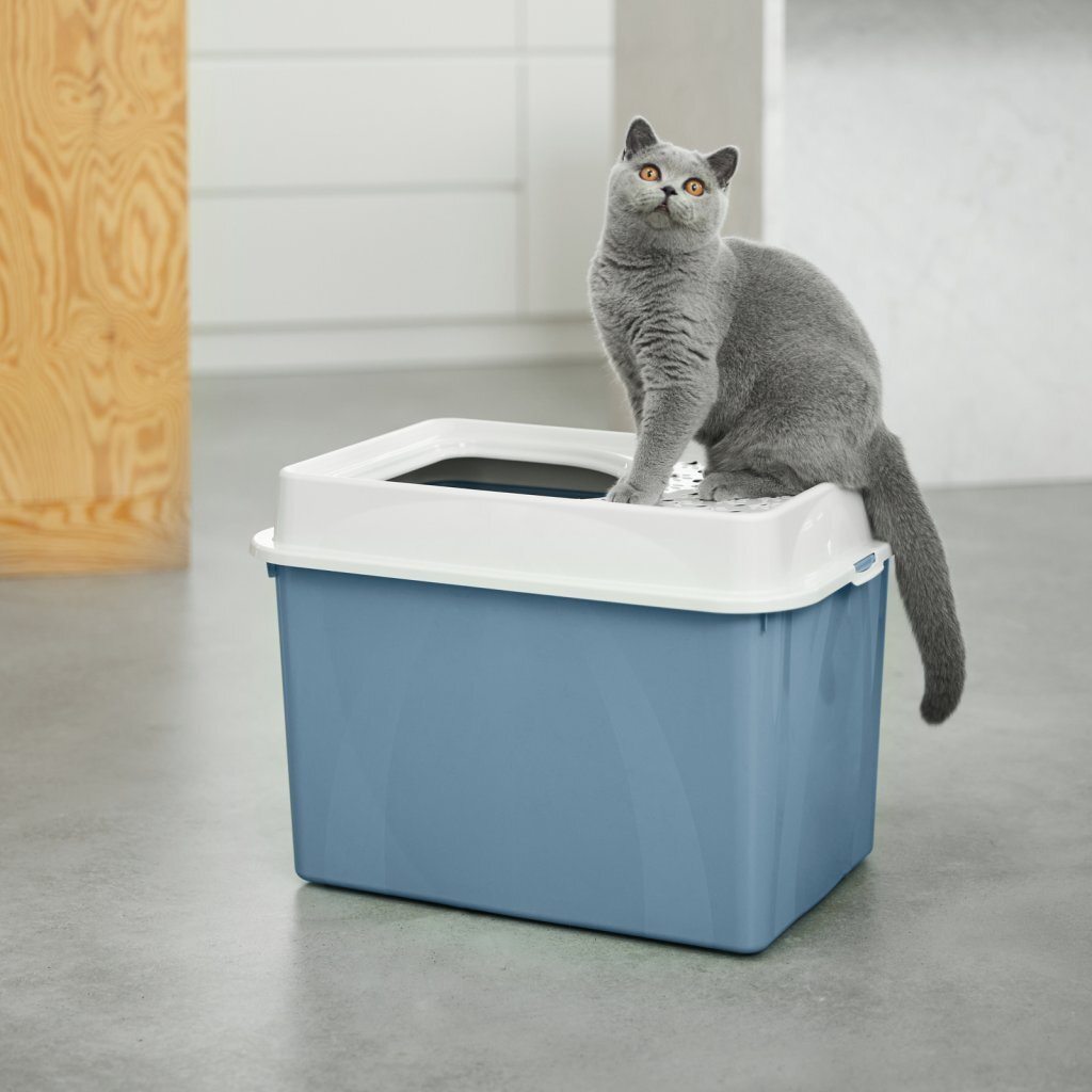 Rotho Eco Berty Kattenbak met Boveningang Blauw/Zand - Afbeelding 2