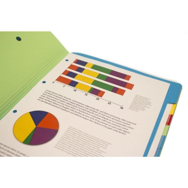 Kangaro K-3010-12 Sorteermap met 12 Tabs - Afbeelding 3