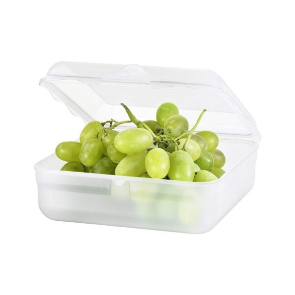 Rotho Fun Lunchbox Vierkant 2.35L Transparant - Afbeelding 2