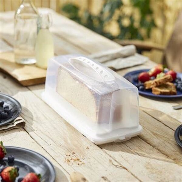 Rotho Fresh Cakedoos Rechthoek 36x16.5x16.5 cm Wit/Transparant - Afbeelding 2