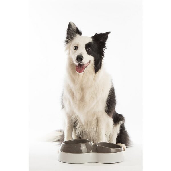 Bama Pet Voerderbak met Waterreservoir 44x27x12 cm Verschillende Uitvoeringen - Afbeelding 5