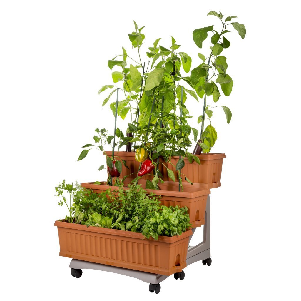 Bama Orto Di Kit Plantenbakken 80x74x73 cm Terracotta - Afbeelding 2