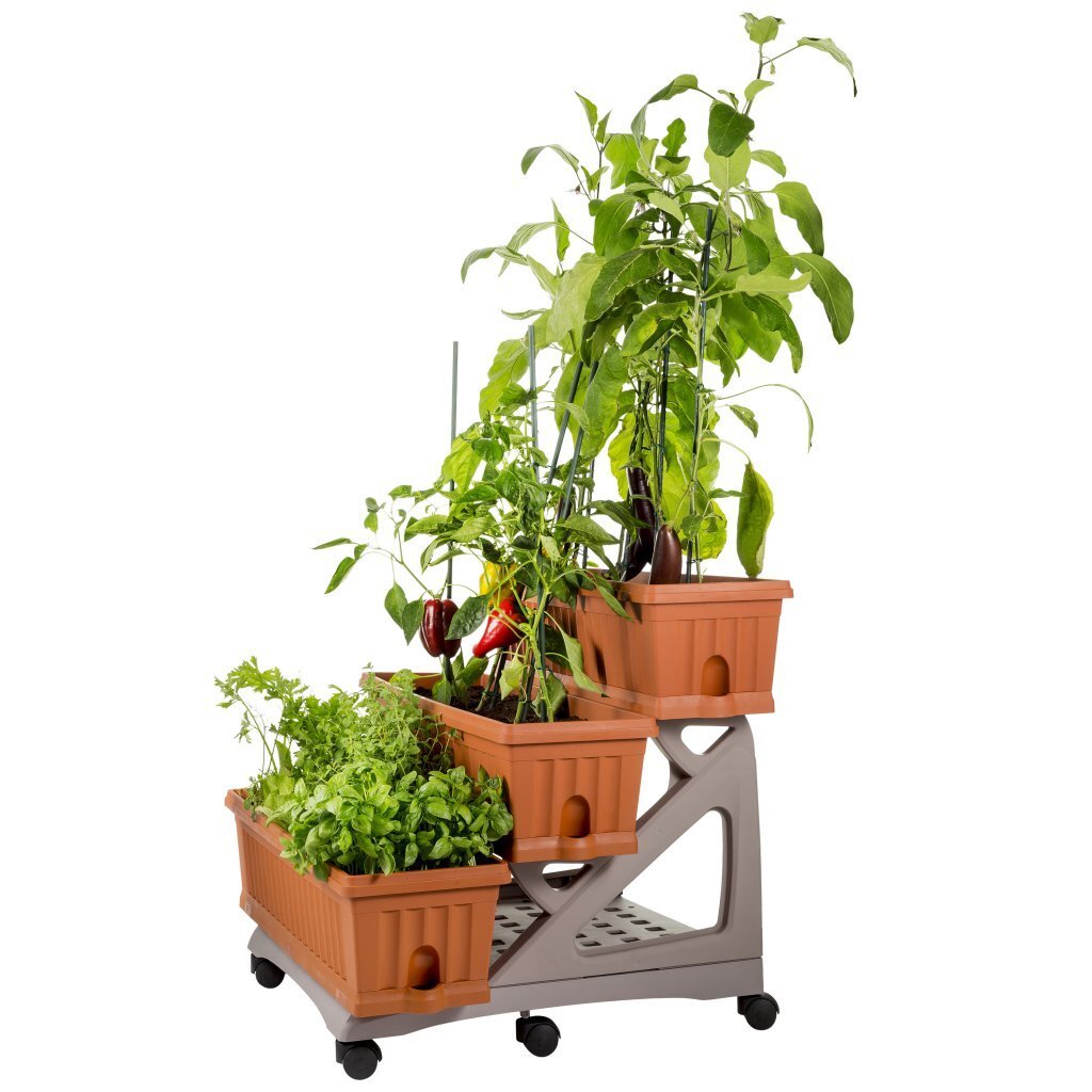 Bama Orto Di Kit Plantenbakken 80x74x73 cm Terracotta - Afbeelding 3
