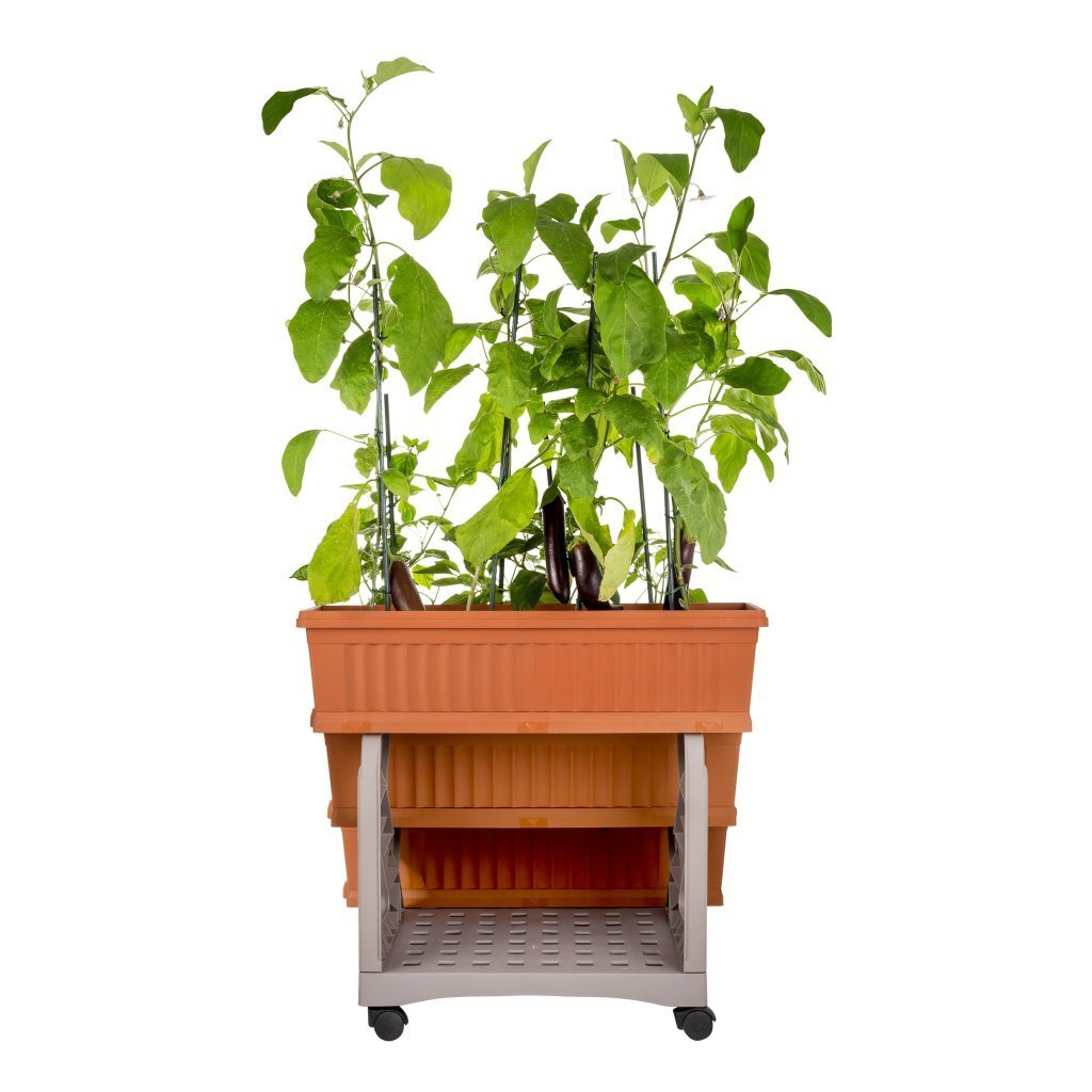 Bama Orto Di Kit Plantenbakken 80x74x73 cm Terracotta - Afbeelding 4