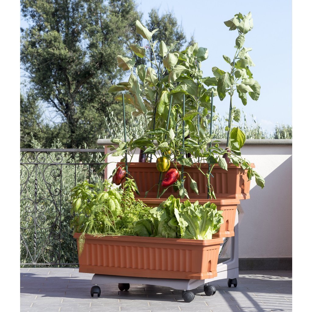 Bama Orto Di Kit Plantenbakken 80x74x73 cm Terracotta - Afbeelding 5