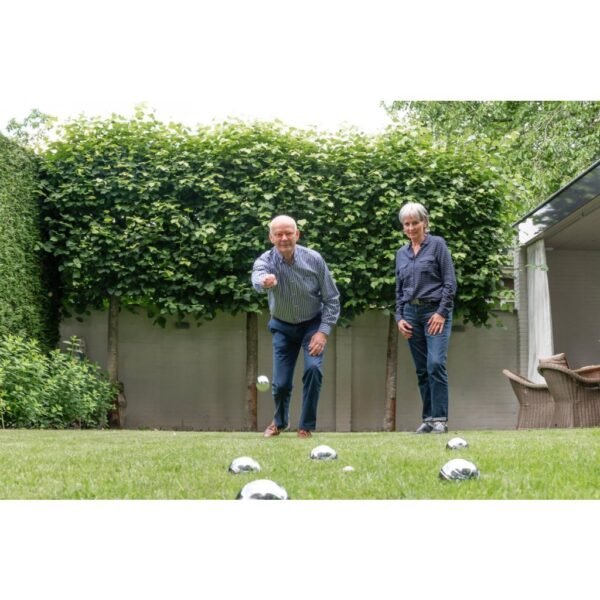 Engelhart Jeu De Boule Set in Tas 6 Ballen - Afbeelding 4